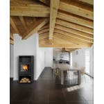 ABX Камин Narvik I