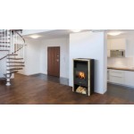 ABX Камин Narvik I