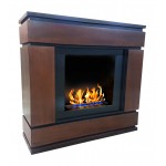 Биокамин Алистер (ZeFire)