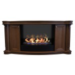 Биокамин классический Линфорд (ZeFire)