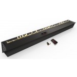 Автоматический биокамин ZeFire М 2200 с ДУ (ZeFire)