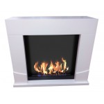 Биокамин классический London (ZeFire)